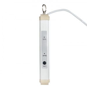 Светильник аварийно-эвакуационного освещения EXIT-201 двухсторонний LED EKF Basic фото #7741