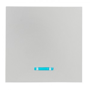 Валенсия лицевая панель выключателя 1-кл. с индикатором 10А сталь EKF PROxima фото #8996