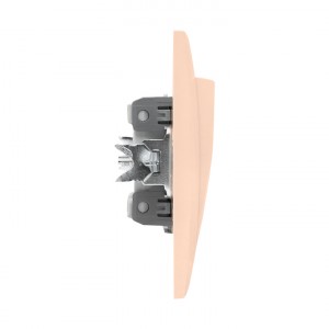 Валенсия выключатель 1-кл. 10А кремовый с индикатором EKF PROxima фото #9175